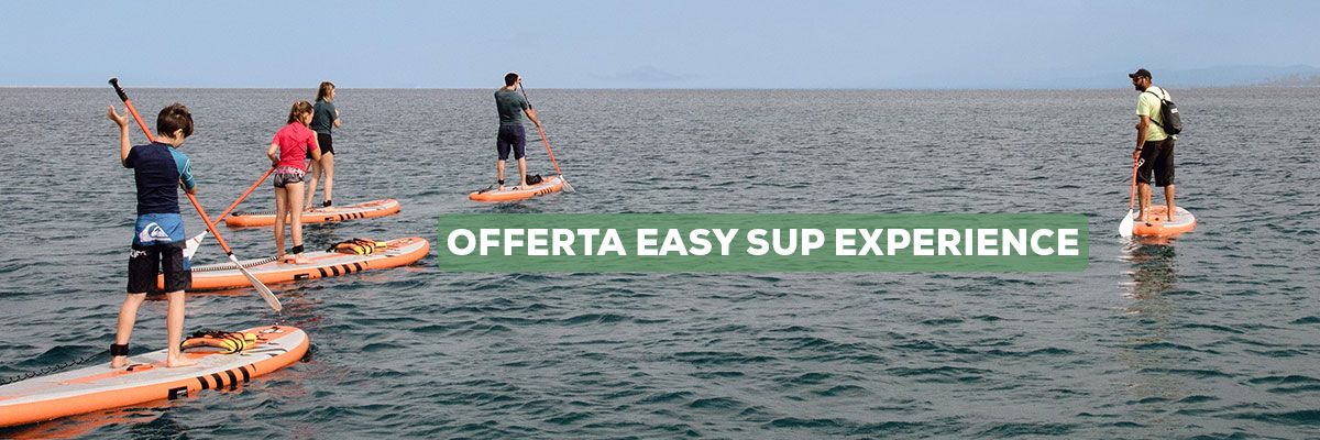 Along the coast! Stay + SUP experience