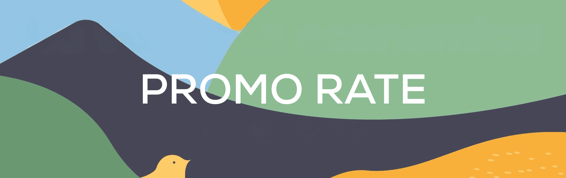 PROMO RATE