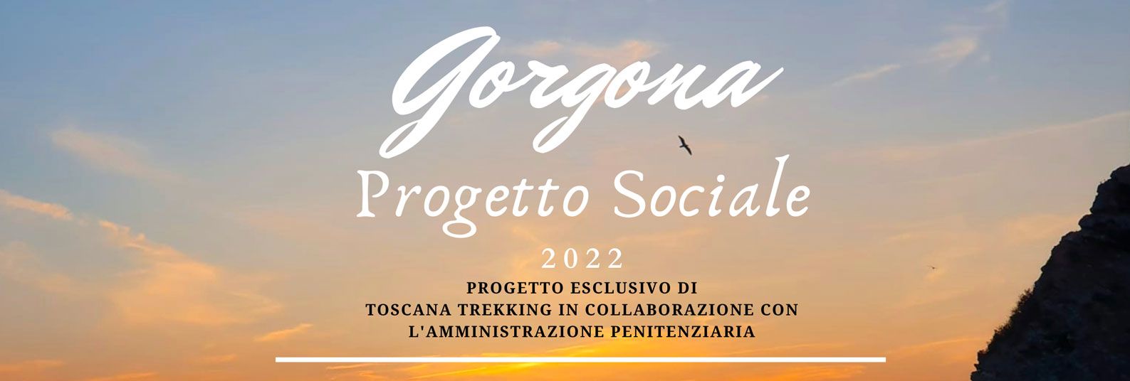 gorgona programma sociale