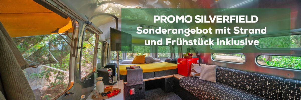 Sonderangebot für eine neue Suite im Wald 2026