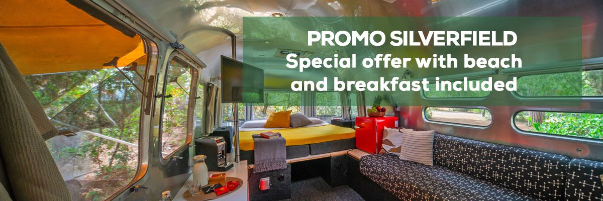 Promotional offer for a new suite in the woods 2026