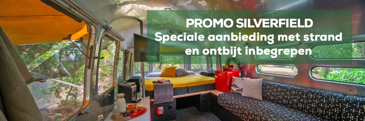 Promotieaanbieding voor een nieuwe suite in het bos 2026