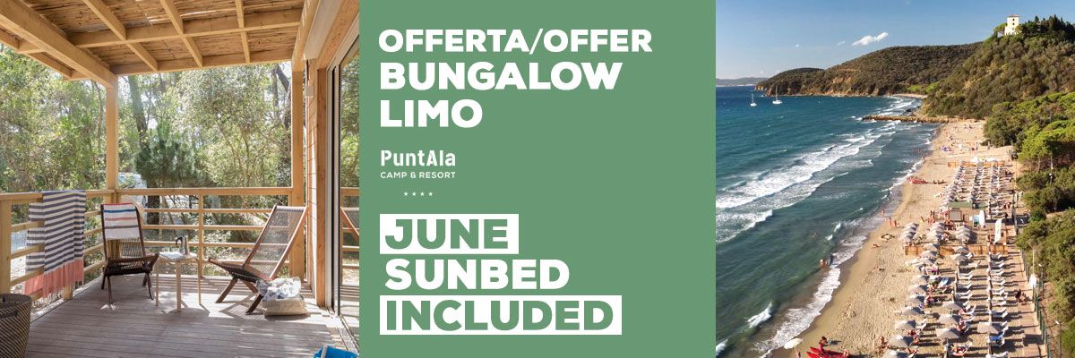 Home Limo im Juni — Sonderpreis & kostenloser Sonnenschirm