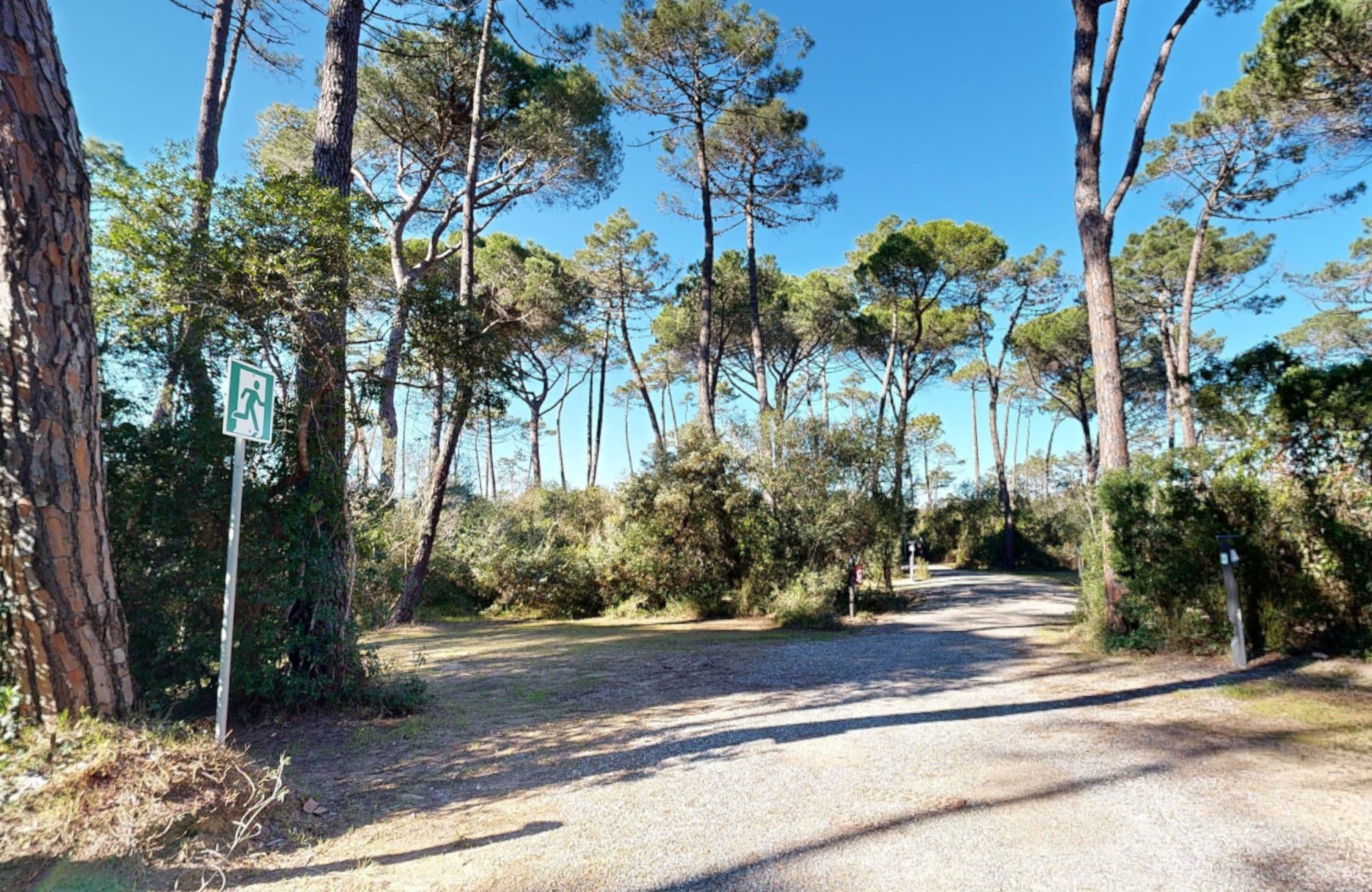 Kampeerplaatsen onder de pijnbomen op PuntAla Camp & Resort - camping aan zee Toscane in Punta Ala