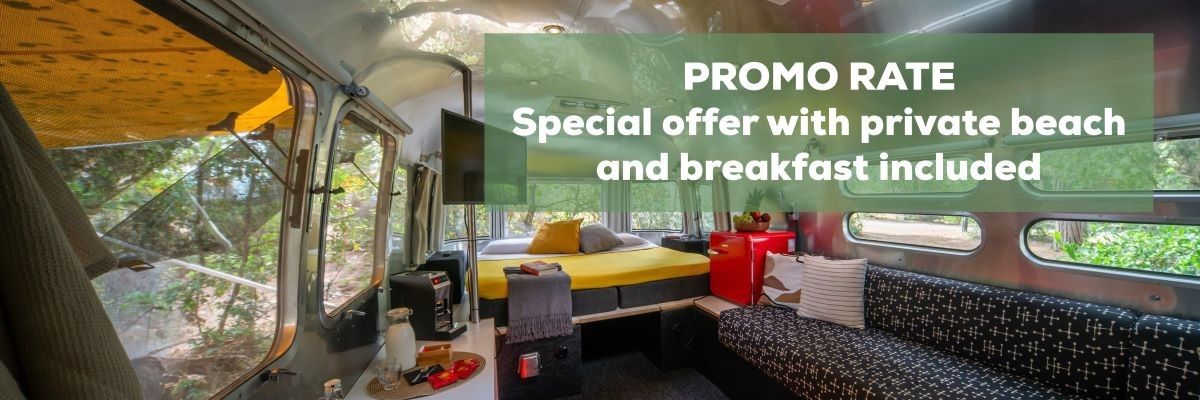 Promo rate for a new suite in the woods 